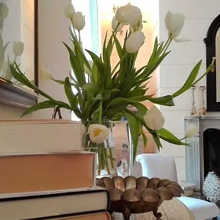 Di Camilla Bed & Breakfast Pisa